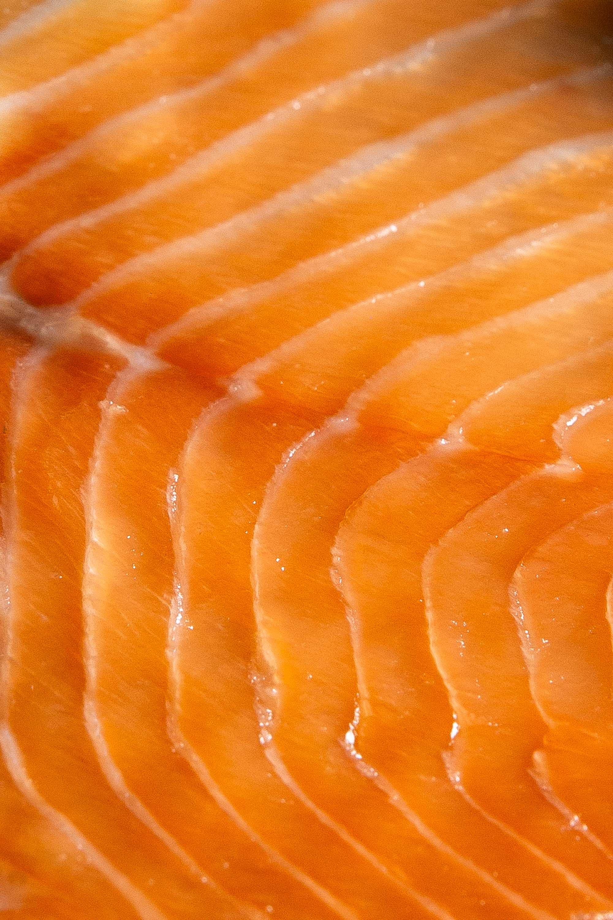 Salmón Ahumado Precortado en Lonchas