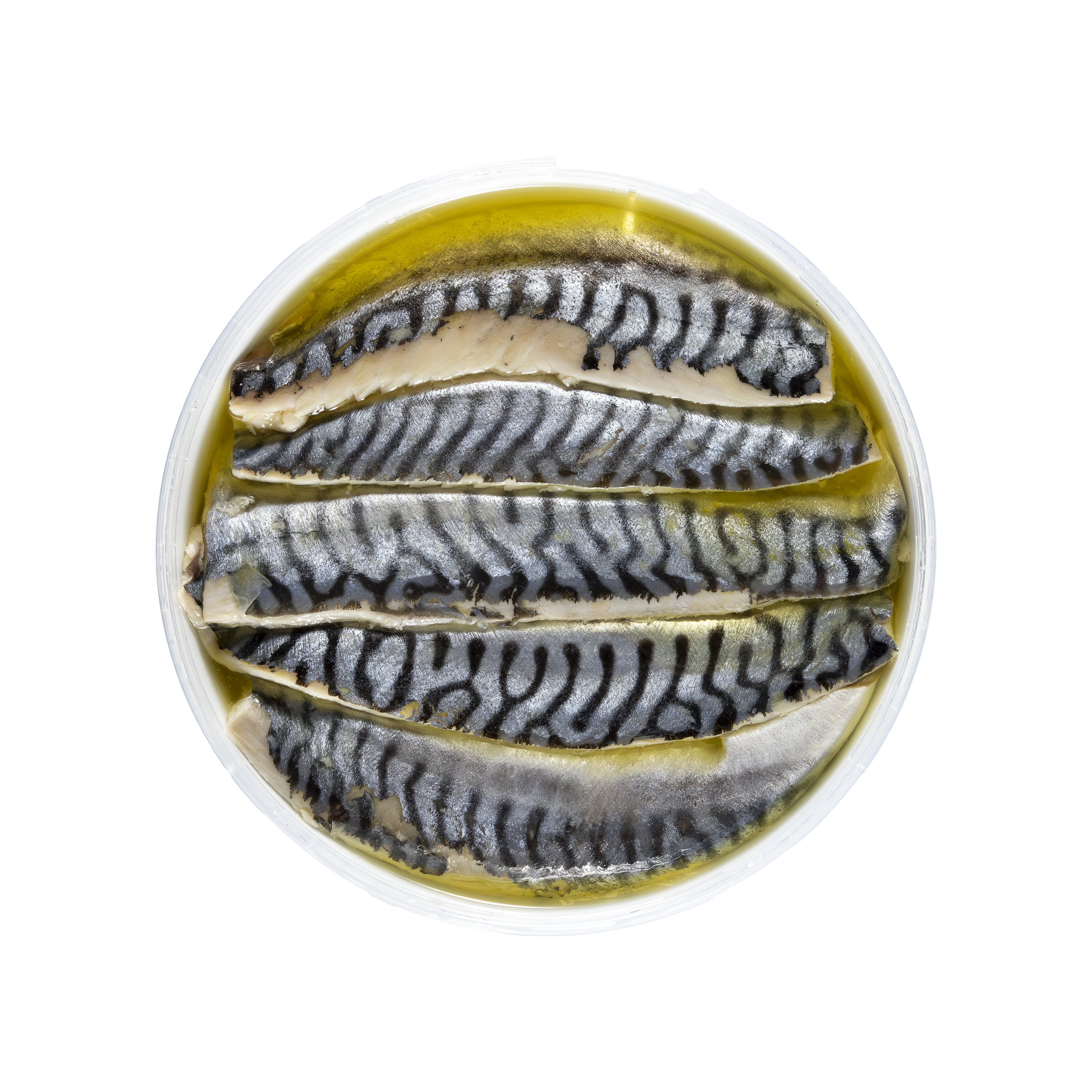 Caballa Ahumada y Marinada en Aceite