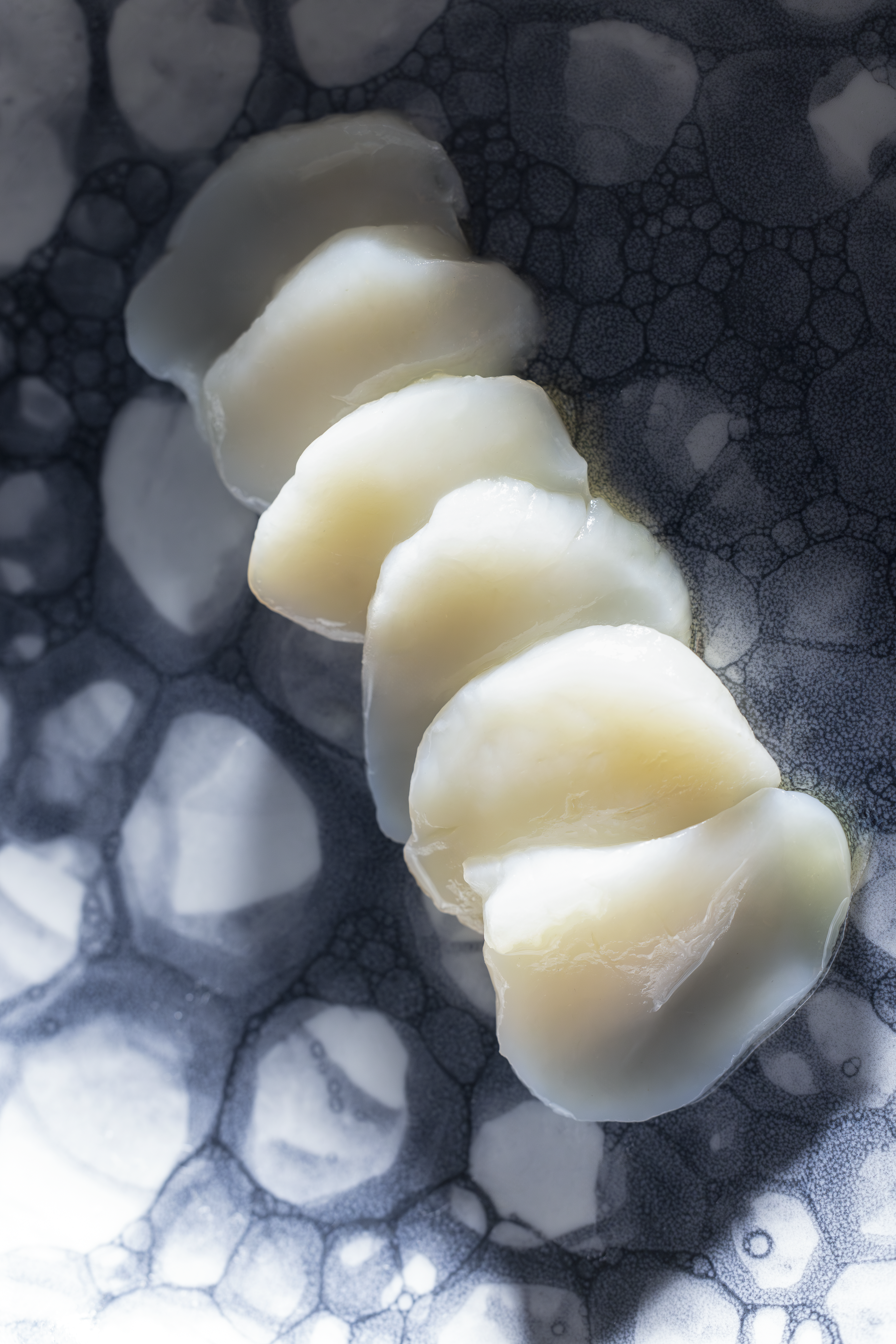 Vieira Ahumada en Aceite